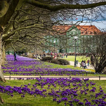 Grand Park 4* Stettin